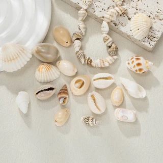 St. kunkka 10 ชิ้นจี้เปลือกหอยหลายสไตล์ Conch ลูกปัดสําหรับ DIY สร้อยข้อมือสร้อยคอทํา