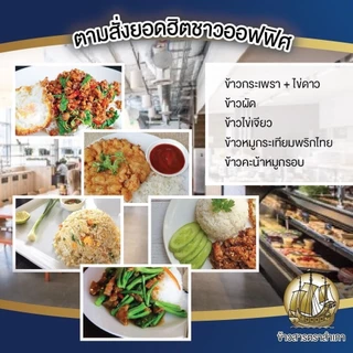 [ได้รับ 14 กิโลกรัม] ข้าวหอมมะลิพวงเงิน ตราสำเภา ขนาด 14 กิโลกรัม [กระสอบสีเงิน] หุงขึ้นหม้อ