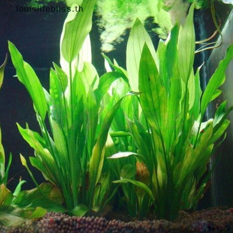 Louislifebliss พลาสติก Manmade น้ําพืชหญ้าสีเขียว 15 ซม. ความสูงสําหรับ Aquarium ใหม่