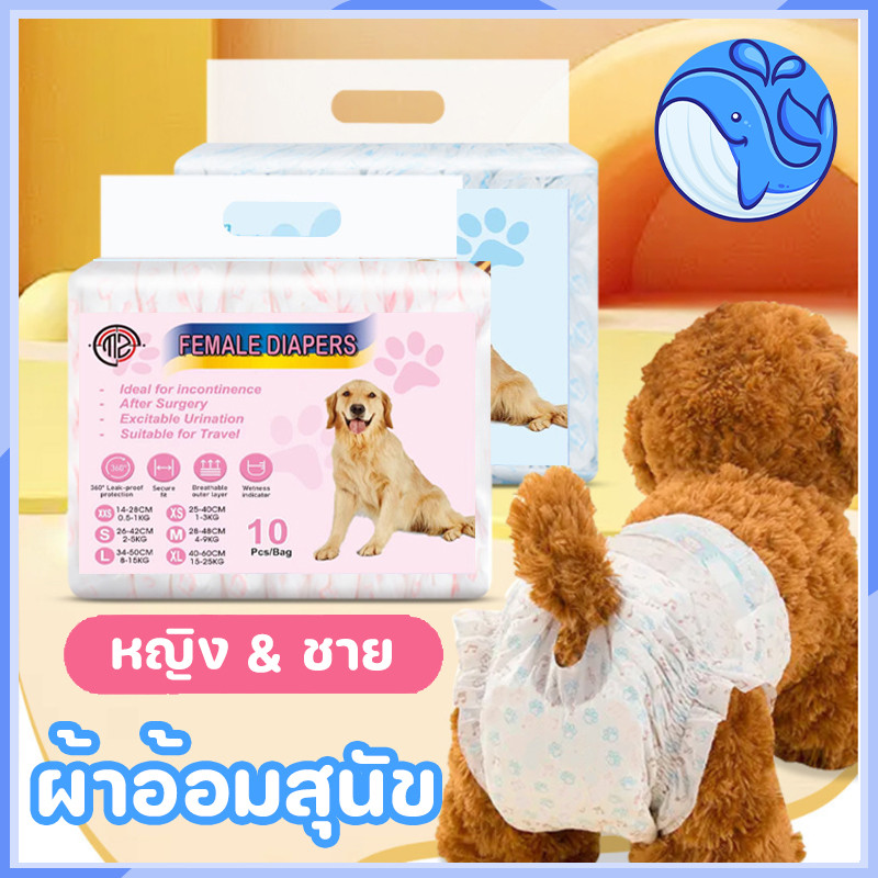 ผ้าอ้อมสุนัข ผ้ารองกันฉี่ ผ้าอ้อมสัตว์เลี้ยง ผ้าอ้อมสำหรับสุนัข ผ้าอ้อมสัตว์เลี้ยง