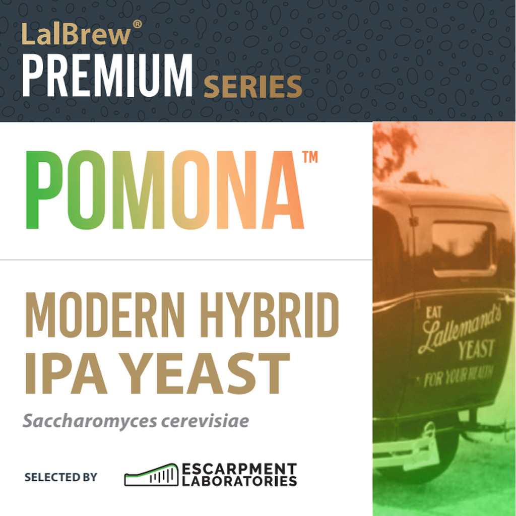 LalBrew Pomona™ Yeast (ยีสต์) 11g