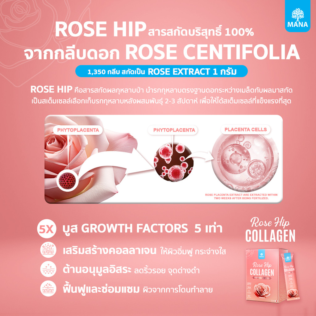 (มีส่งด่วน) Mana Rosehip Collagen Type lll (3ฟรี1) สกัด Rosehip บริสุทธิ์ผิวโกลว์นุ่มเด้ง ไม่มีน้ำตาล ช่วยคอลลาเจนผิวขาว - รูปที่ 2