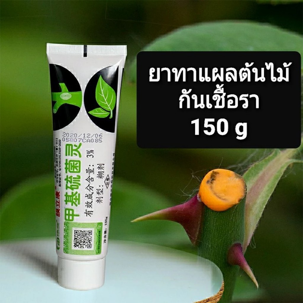 ร้านอยู่กทม. 150g ยาทาแผลต้นไม้ สำหรับต้นไม้หลายชนิด ด่าง บุษราคัม เสน่จันทร์บอนไซ ป้องกันเชื้อรา  สำหรับไม้ด่าง - รูปที่ 3