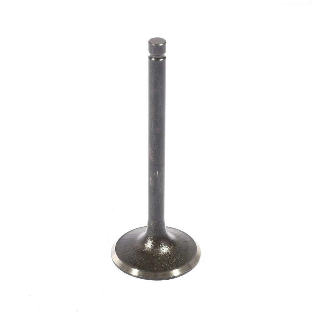 POLO อะไหล่ VALVE IN (เฉพาะสาย) ใช้กับเครื่องปั่นไฟ รุ่น P4500IS (โปโล)