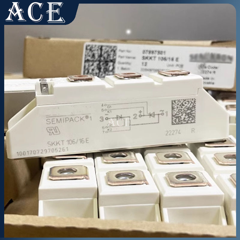 Skkt106/16e SKKT106/14E SKKT106/12E SKKT106/08E SKKT106B12E SKKT106B14E SKKT106B16E SKKT106B18E โมดู
