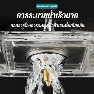 🛁ขายดี🛁【กลิ่นและแมลง】แกนท่อระบายน้ำสแตนเลสป้องกันสนิมสำหรับห้องน้ำ/แกนท่อระบายน้ำหนาป้องกันกลิ่นได้ดี/ป้องกันแมลงรบกวน เปิดด้วยขั้นตอนเบาๆ/ระบายน้ำเร็ว/ห้องครัว-ห้องน้ำ/สำหรับครอบครัว/กันกลิ่น-กันอุดตัน