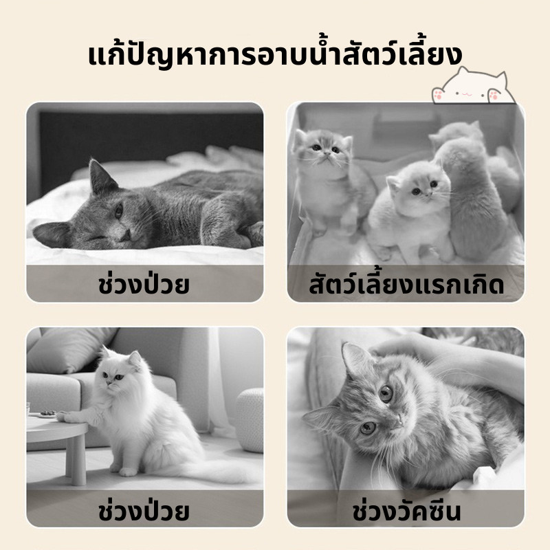 ถุงมือสัตว์เลี้ยงแบบใช้แล้วทิ้ง 6ชิ้น/ห่อ ถุงมืออาบน้ำแมว ทำความสะอาดและดับกลิ่น ไม่ต้องล้างน้ำ สะดวก และรวดเร็ว - รูปที่ 2