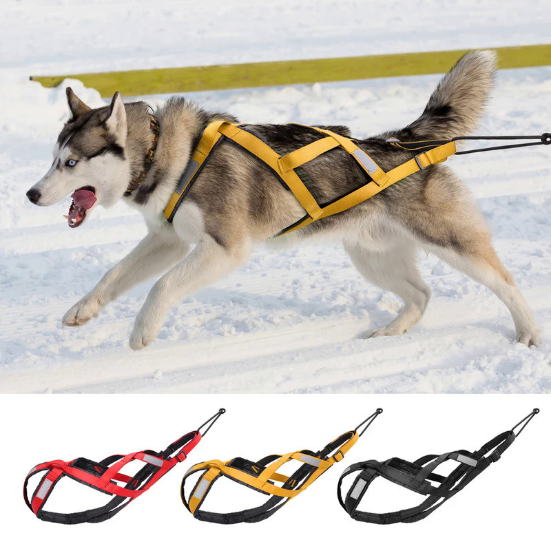 Dog Sled Harness Pet Weight Pulling Sledding Harness Mushing X Back Harness For Large Dogs Husky Can