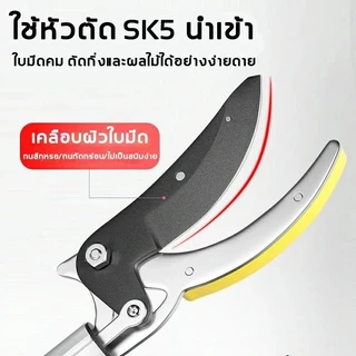 【ตัด หนีบ เลื่อยได้3in1】4M กรรไกรตัดกิ่งไม้สูง กรรไกรตัดหนีบผลไม้ด้ามยาว ด้ามสแตนเลส กรรไกรเก็บผลไม้ กรรไกรเก็บผลไม้