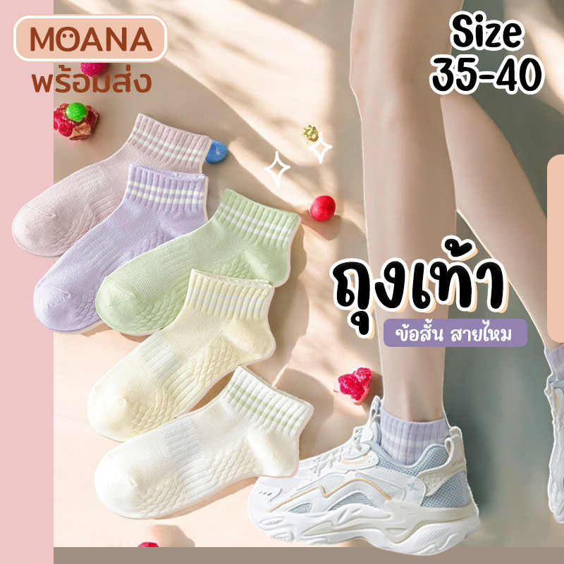 พร้อมส่ง : ถุงเท้า ข้อสั้น ต้าวหมีพาสเทล 5 คู่ น่ารัก ใส่ได้ทุกวัน เนื้อผ้านุ่ม แฟชั่น - รูปที่ 3