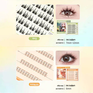 YTL ซีรีส์ 12 นักษัตร ขนตาปลอม 3D ไม่ต้องใช้กาว มีกาวในตัว ขยายตา ติดทน ใช้ซ้ำได้ เหมาะสำหรับมือใหม่ 30/36 ช่อ/กล่อง