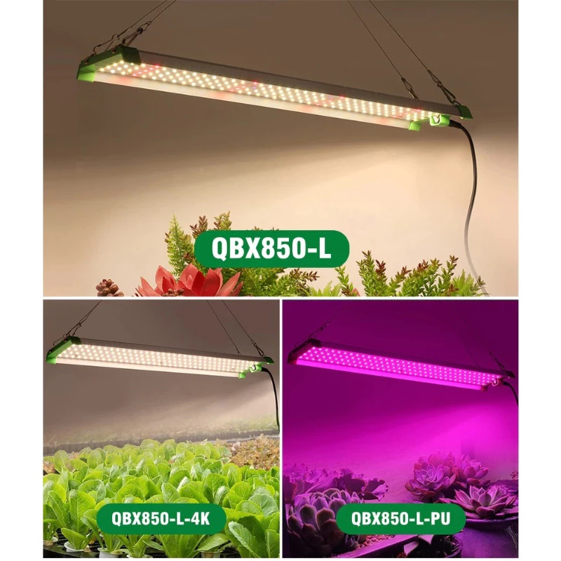 ไฟปลูกพืช LED เต็มสเปกตรัม 850 วัตต์ thumbnail 3