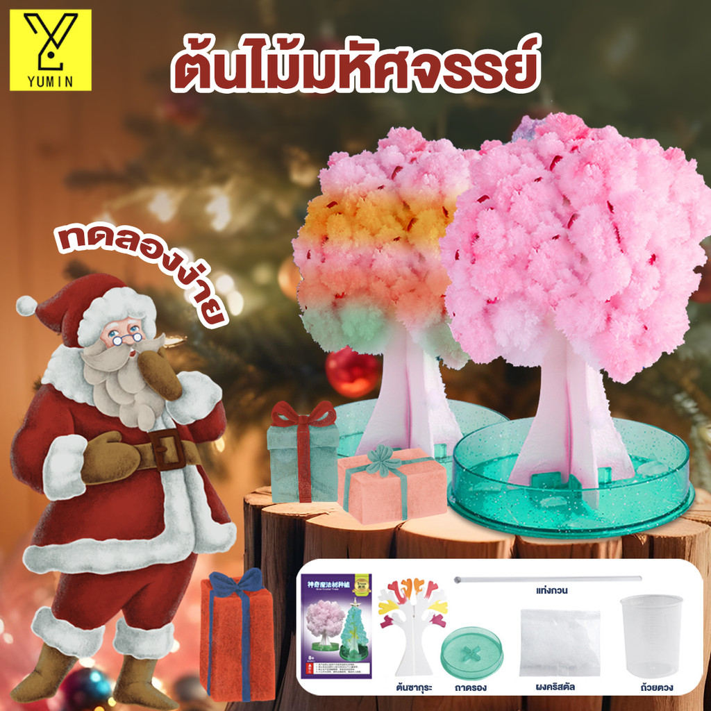 ต้นคริสต์มาสรดน้ำ ต้นไม้วิเศษ ของเล่นตกผลึก ต้นคริสต์มาส ของเล่นDIY ฝึกทักษะวิทยาศาสตร์ รดน้ำ ของเล่นDIY Christmas Tree