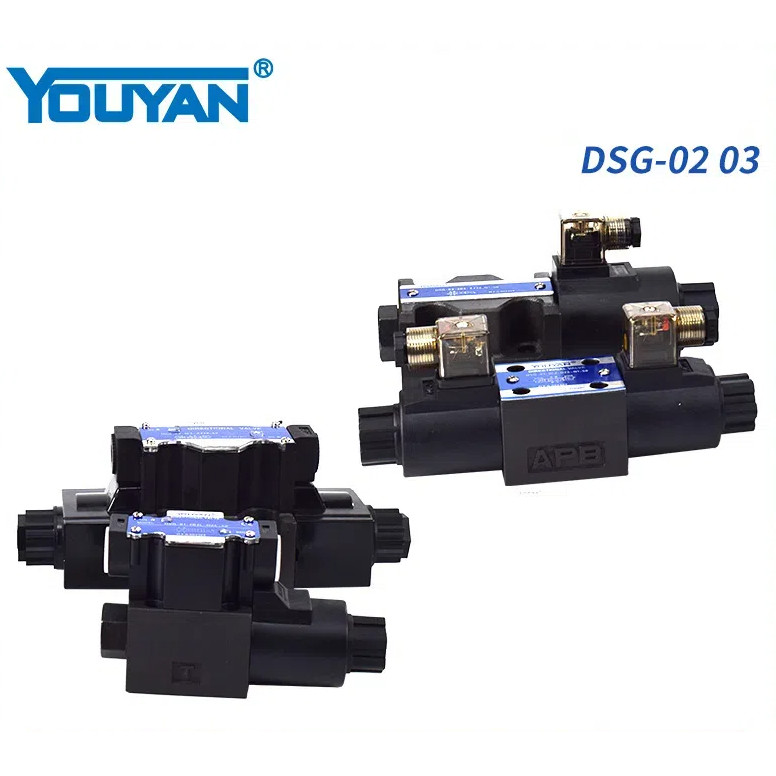 Dsg-02-3c2/3c4/3c60/2d2-dl วาล์วไฮดรอลิก A220 Solenoid วาล์วย้อนกลับ DSG-03-2B2-D24