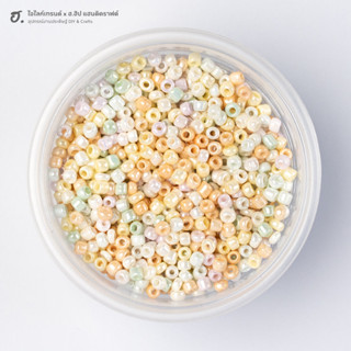 ลูกปัดเม็ดทราย ขนาด 3 มม. คละสี Rustic Harvest