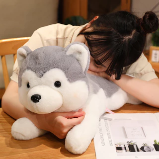 Funtoys หมอนตุ๊กตาสุนัขฮัสกี้น่ารักของขวัญวันเกิดเหมาะสําหรับของตกแต่งบ้าน ตุ๊กตาฮัสกี้สุดนุ่มน่ารัก 30ซม.-40ซม. เหมาะสำหรับเด็ก ของขวัญคริสต์มาส