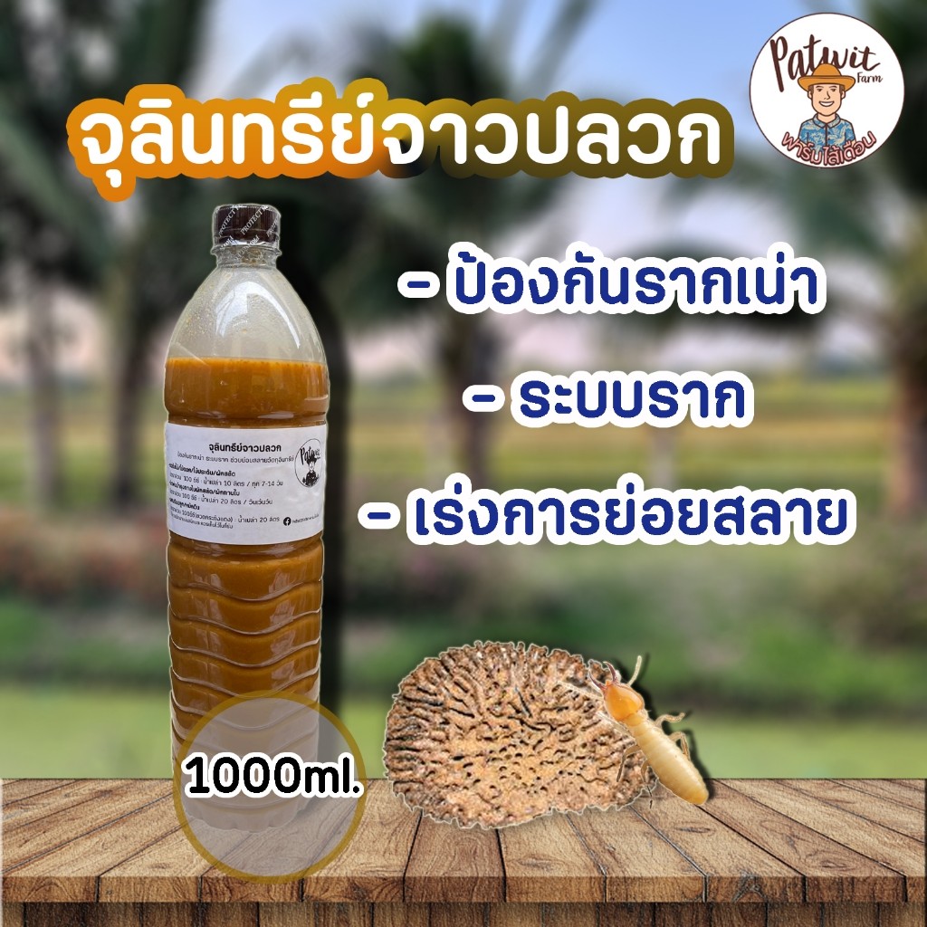 (ส่งฟรีทักแชท)จุลินทรีย์จาวปลวก ขนาด1ลิตร ป้องกันรากเน่ารากขาว รากปม ระบบราก ช่วยย่อยสลายกองปุ๋ยวัตถุอินทรีย์