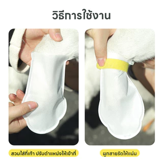 Doge&Orange พร้อมส่ง ปลอกเท้าสำหรับสัตว์เลี้ยง ที่หุ้มเท้าแมว รองเท้าสุนัข 20 ชิ้น/แพ็ค รองเท้าใช้แล้วทิ้ง PU117