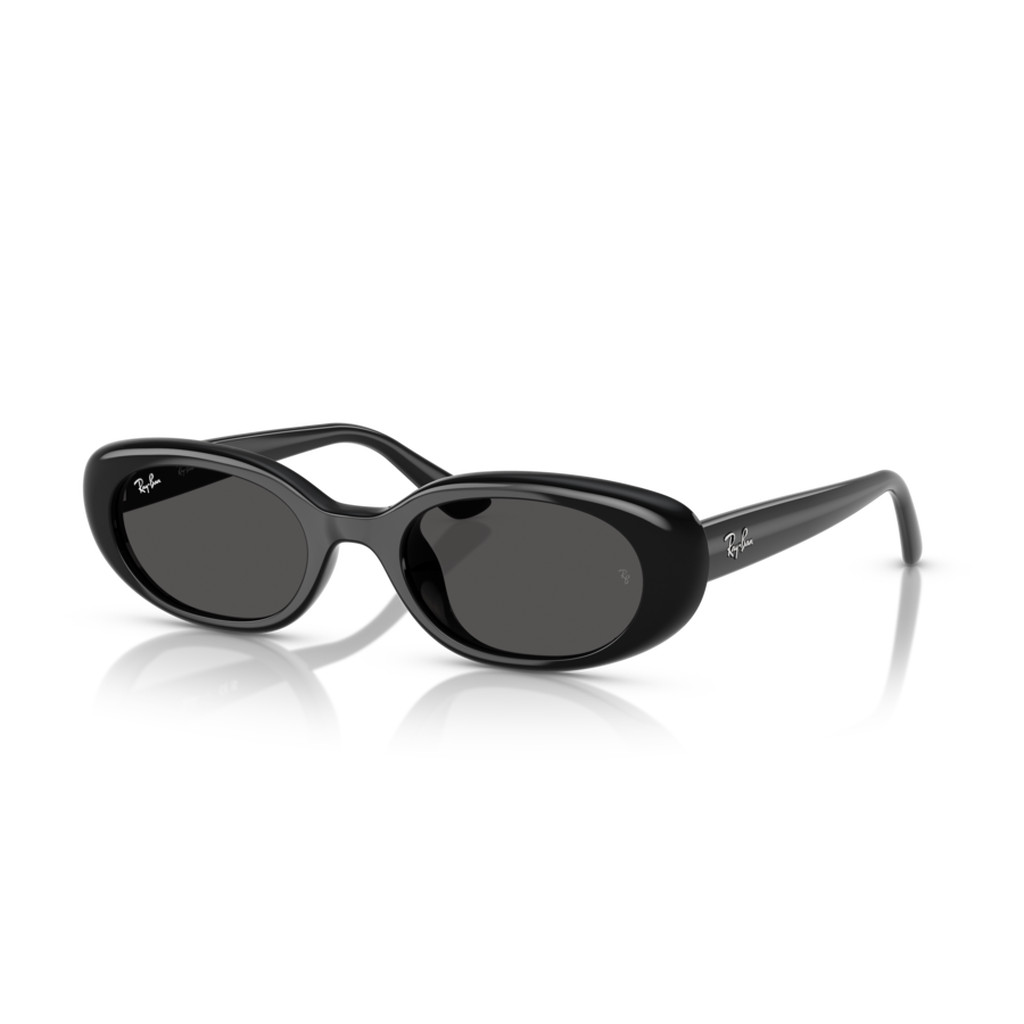 RayBan RB4441D 667787