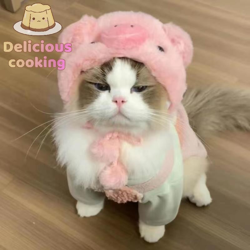 [ทําอาหารอร่อย] Kitty Kitty Hat Chick Pet Headgear Panda Bear Dog Hat Headgear Drag Hat Internet Celebrity Cross-border [ใหม่]