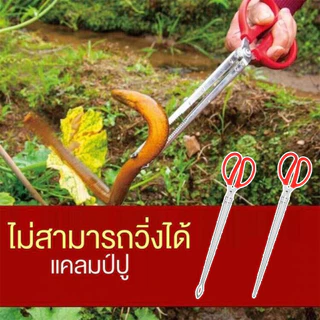 จัดส่งใน24ซม. คีมจับสัตว์น้ำ 68ซม.คีมหนีบปลา ปู กรรไกรสแตนเลสคีปปู ทนทาน ใช้งานง่าย ป้องกันการลื่นไหล