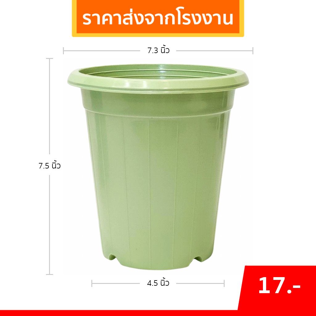 กระถาง แคคตัส ไม้กราฟ ทรงสูง 7 7.3 8 นิ้ว สีอิฐ เขียว เทา น้ำตาล โอ๊ค Bundle 20 ใบ ชิ้น อัน