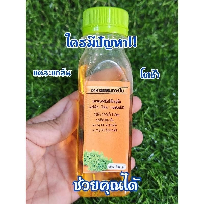 ชามะนาว อาหารเสริมทางใบ ปลูกผักไฮโดรโปนิกส์ สูตรเข้มข้น **ดีงาม**
