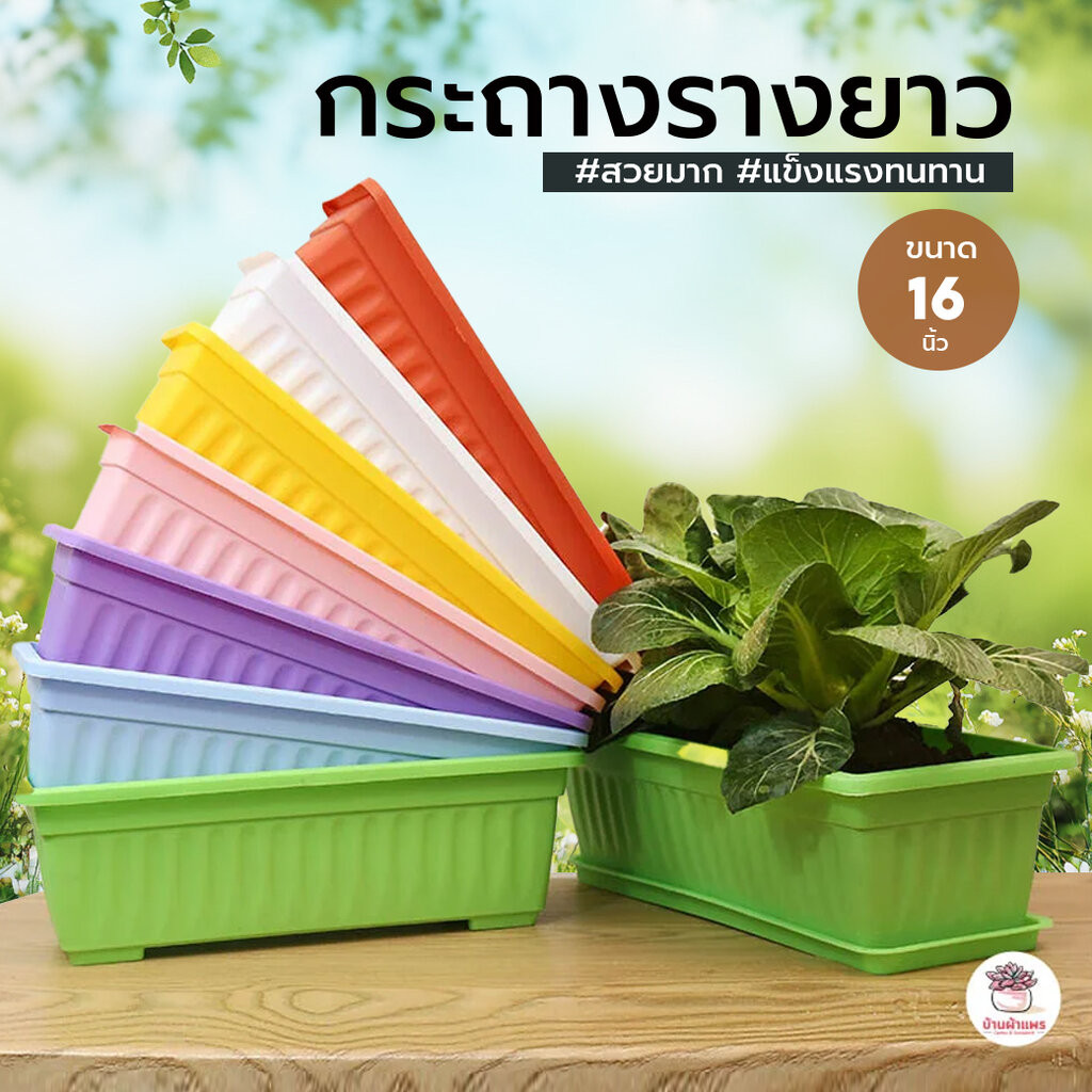 กระถางรางยาว 16 นิ้ว กระถางพลาสติก แคคตัส กระบองเพชร ไม้อวบน้ำ Cactus&Succulent