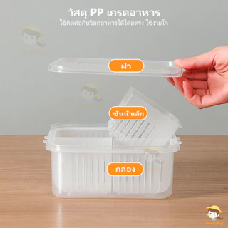 SWEETYBAYI กล่องเก็บอาหาร 4/6 ช่อง ที่เก็บผัก มีฝาปิดในตัว กล่องเก็บกระเทียมสด กล่องจัดเก็บในตู้เย็น