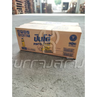 (1ลัง48ขวด ) Pinto แบบขวด น้ำยาล้างจานปินโต้ ผลิตภัณฑ์ทำความสะอาดภาชนะ ชนิดขวด ราคาประหยัด ขนาด 170มล