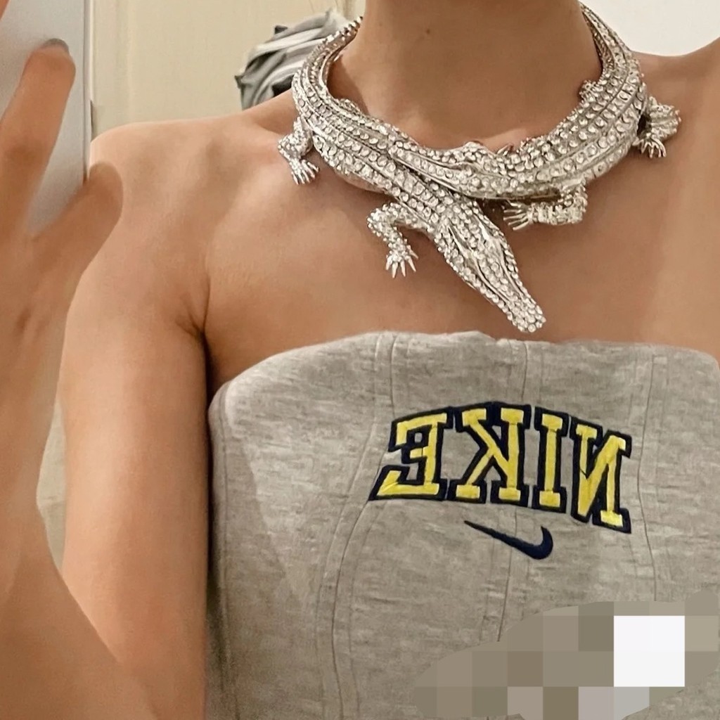 ระเบิดสไตล์ Abi จระเข้ป่าพร้อมเพชรสร้อยคอเหล็กไทเทเนียมที่โอ้อวด/ผู้หญิงสไตล์ยุโรปและอเมริกา