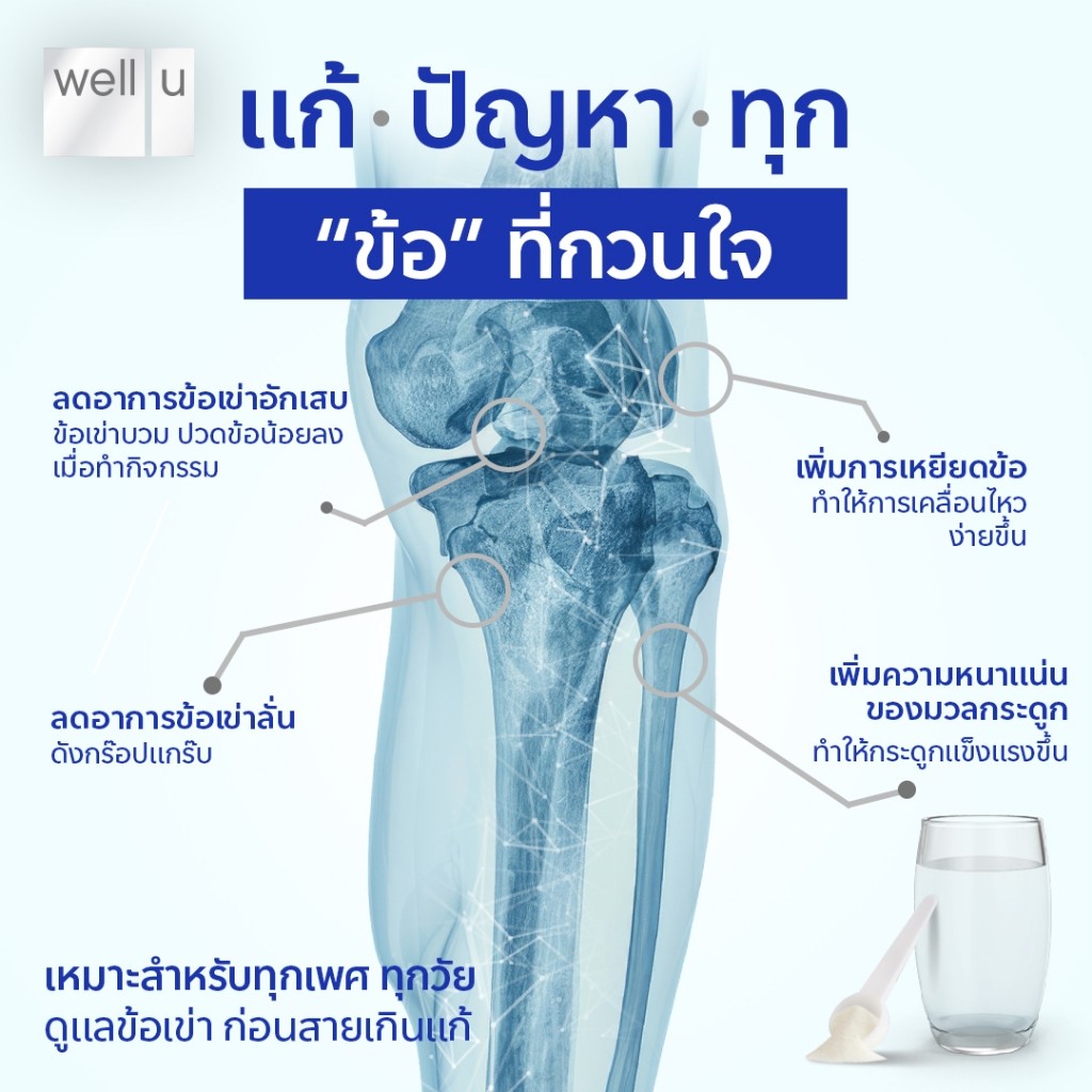 WELL-U Collagen Type 2 Plus Calcium เวล ยู คอลลาเจน ไทป์ทู พลัส แคลเซียม [100 กรัม] [2 กระปุก] คอลลาเจน ดูแลกระดูก - รูปที่ 2
