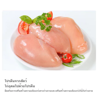 YTL อกไก่ อกไก่แมว อกไก่นึ่ง อกไก่คลีน 40 กรัม มีคุณค่าทางโภชนาการ อาหารเปียกแมว อกไก่ต้ม ขนมหมา ขนมแมว