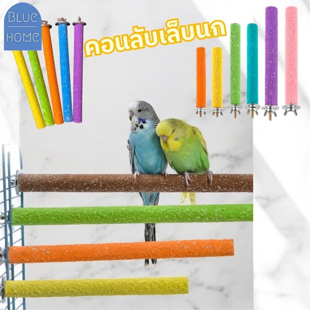 คอนลับเล็บนก (1ชิ้น) สำหรับนก คอนแบบติดกรง ก้านไม้ของเล่นสําหรับนกแก้ว ของเล่นนกแก้ว ของเล่นชูก้า #AK-0009