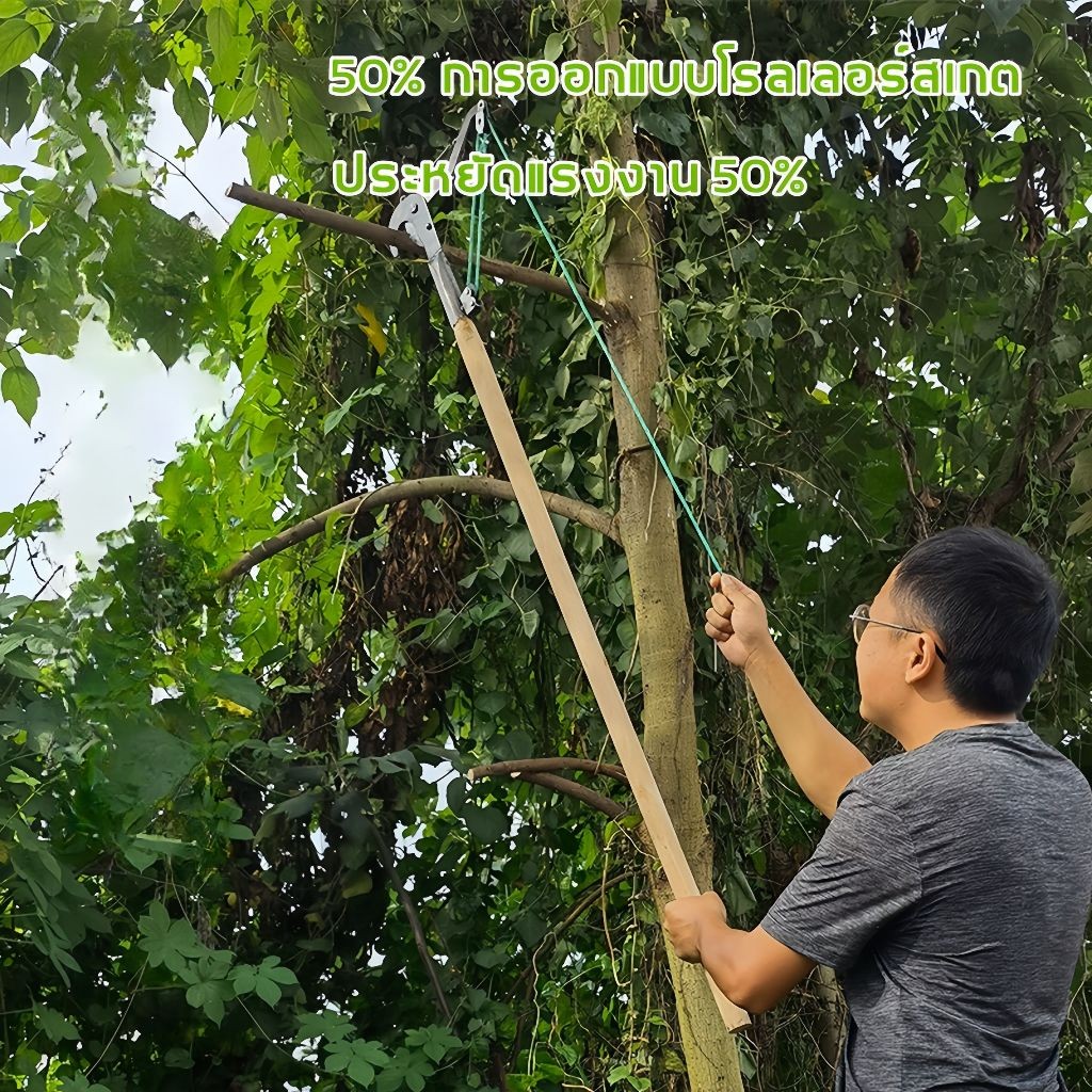 BW Tool กรรไกร ตัดกิ่งไม้ มีดตอนกิ่ง ตัดกิ่ง กรรไกรตัดกิ่งไม้ กรรไกรตัดกิ่งไม้สูง ที่ตัดกิ่งไม้ กรรไกรกระตุกกิ่งไม้ - รูปที่ 2