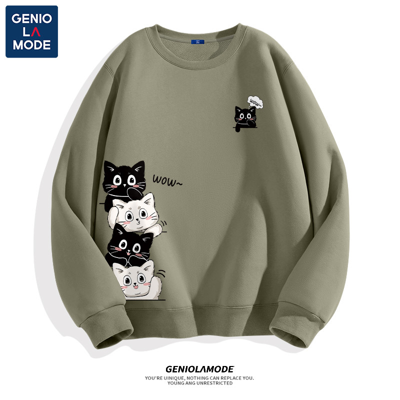 รูปภาพ 5