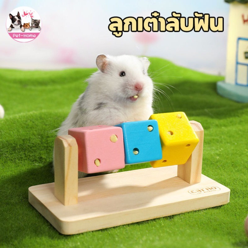 ของเล่นแฮมเตอร์ ลูกกลิ้งแฮมเตอร์ ของเล่นสัตว์เลี้ยง ลูกเต๋าลับฟัน ของตกแต่งกรง