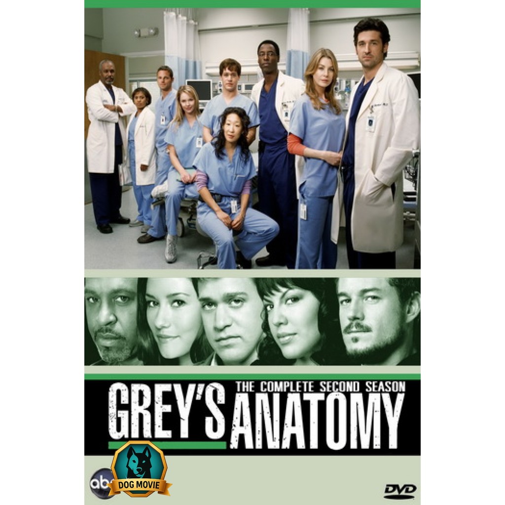DVD Grey s Anatomy Season 2 แพทย์มือใหม่หัวใจเกินร้อย ปี 2
