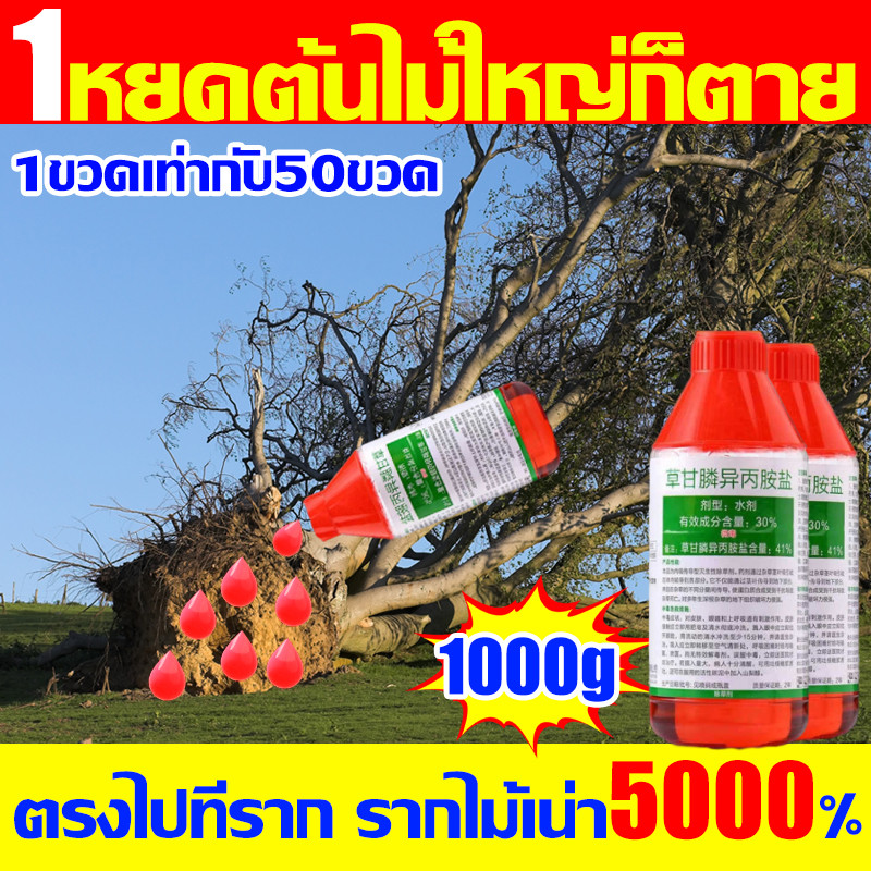 1หยดเดียวต้นไม่ใหญ่ก็ตาย ยาฆ่าต้นไม้ใหญ เข้มข้นสุด1000ml ยาฆ่าตอต้นไม้ ตรงไปที่ราก รากไม้เน่า ยาฆ่าตอไม้ใหญ่ ไม่ทำร้ายดิ