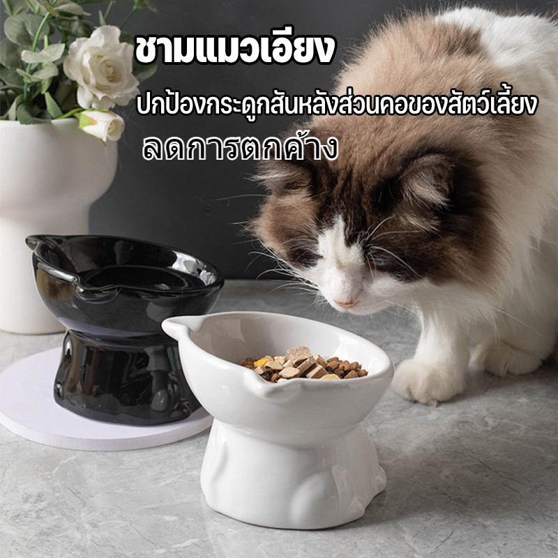 🐾 จัดส่งในกรุงเทพฯ 🐾ชามอาหารแมวเซรามิค ชามอาหารสัตว์เลี้ยง ชามทรงสูง ป้องกันการพลิกคว่ํา สุนัข แมว