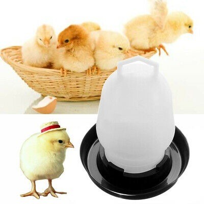เครื่องป้อนน้ําอัตโนมัติ 0.75 ลิตร Bekas Minum Air Anak Ayam Air Ayam Serama Air Ayam Bekas Minum Ai
