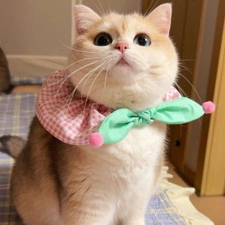 ผ้ากันเปื้อนสำหรับสัตว์เลี้ยง ผ้าพันคอแบบปรับได้สำหรับแมวและ…