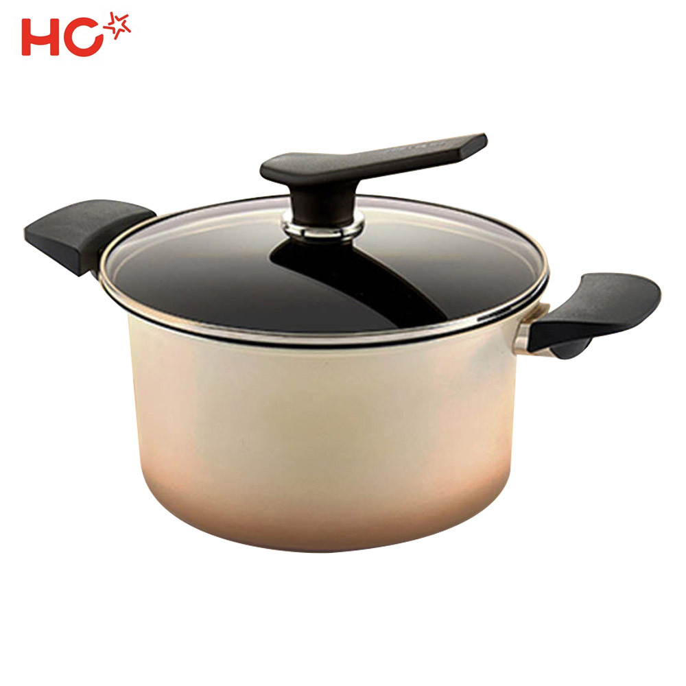 HappyCall Korea Aura IH Pot HotPot StockPot 24 Cookware Multi Cooker