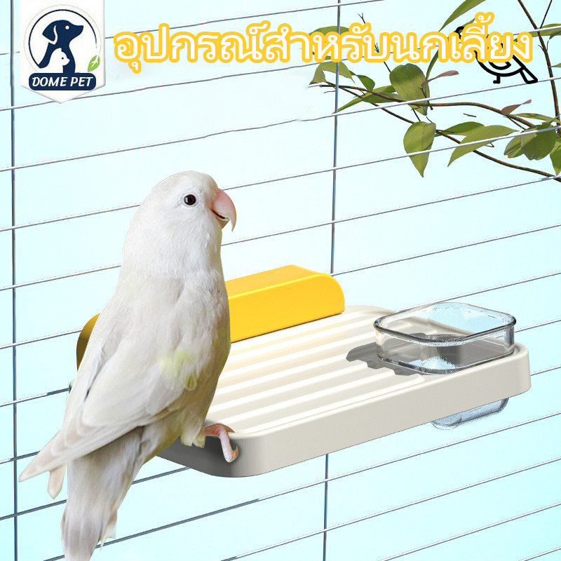 อุปกรณ์สำหรับนกเลี้ยง อุปกรณ์ปีนป่าย ที่นั่งสำหรับนกแก้ว แท่นพักชนิดแขวนและเครื่องให้อาหาร