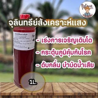 (1แถม1)(ใช้โค้ดส่งฟรีทักแชท)จุลินทรีย์สังเคราะห์แสง PSB ขนาด1ลิตร 1แถม1 สูตรเข้มข้นสีแดงสด ใช้ขยายเชื้อต่อได้ไม่รู้จบ
