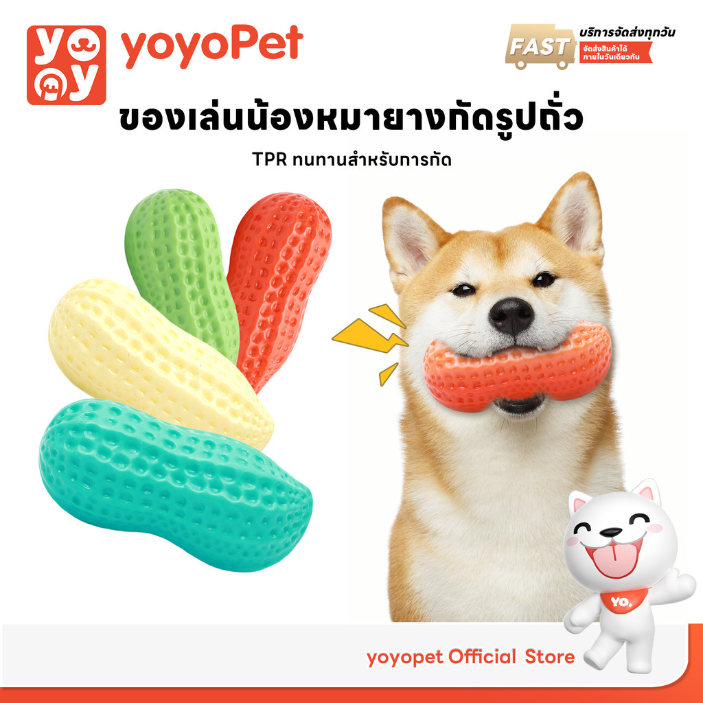 yoyopet : ของเล่นยางกัดรูปถั่ว ของเล่นมีเสียง หอมกลิ่นนม ของเล่นสัตว์เลี้ยง บีบมีเสียง ทนต่อการกัด