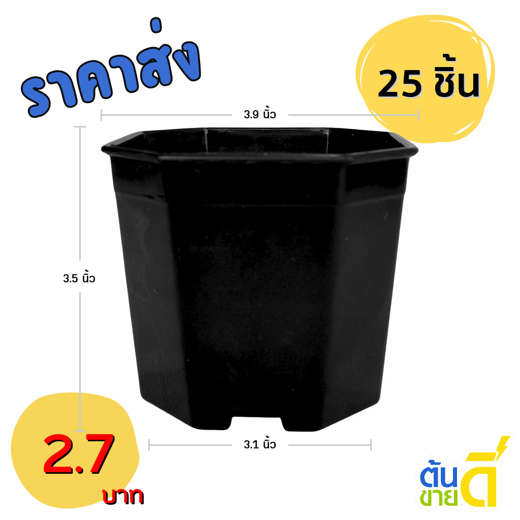กระถางต้นไม้ กระถาง 8 เหลี่ยม กระถางแคลตัส เบอร์ 4 นิ้ว สีดำ 25 ใบ ชิ้น ยกมัด