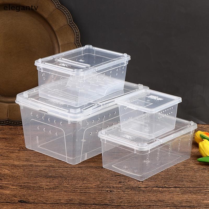 EGN Reptile Box Mantis Jumping Spider Silkworm Reptile Back Box N