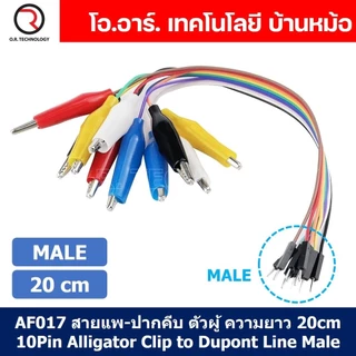 สายแพ-ปากคีบ ตัวผู้/ตัวเมีย ความยาว 20cm/30cm 10Pin Alligator Clip to Dupont Line Male สายจั๊มเปอร์ Jumper สายจัมเปอร...