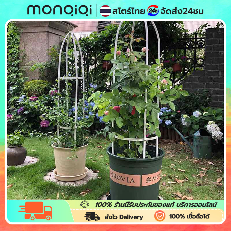 MonQiQi 145cm*28cm ซุ้มกุหลาบ ซุ้มกุหลาบเลื้อย โครงกุหลาบเลื้อย ซุ้มไม้เลื้อย
